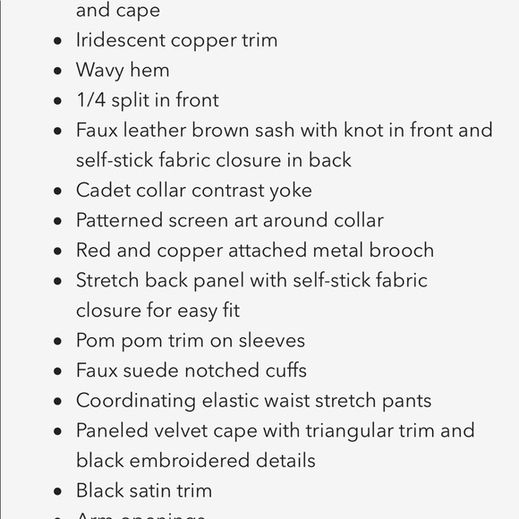 Disney Store WDW Frozen 2 Anna Costume. - Picture 7 of 7